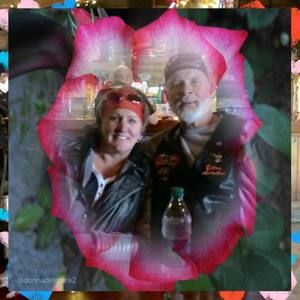 Meet your Posher, Jodi